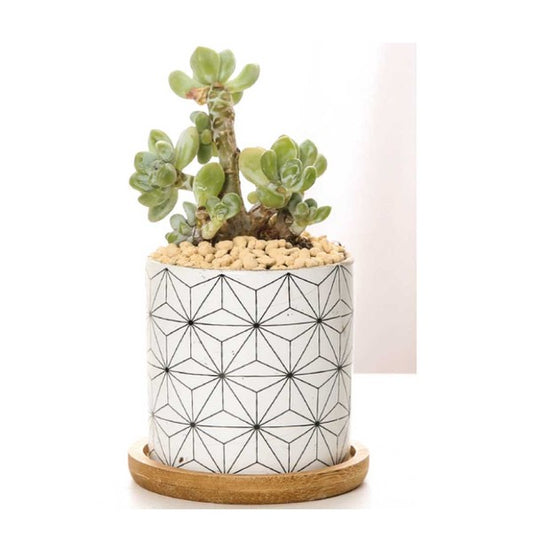 B&W Planters Set of 3 - Summer at Payton's Online Boutique