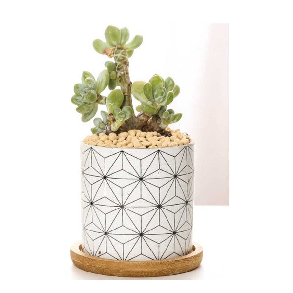 B&W Planters Set of 3 - Summer at Payton's Online Boutique