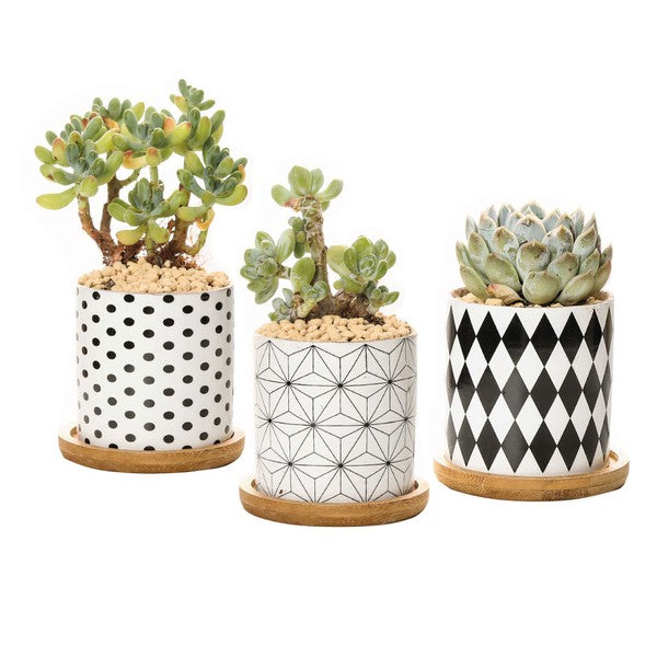 B&W Planters Set of 3 - Summer at Payton's Online Boutique