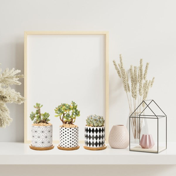 B&W Planters Set of 3 - Summer at Payton's Online Boutique